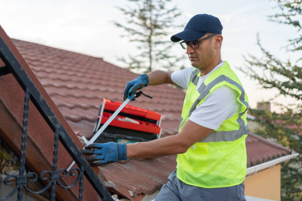 Types of Insulation We Offer in La Joya, TX